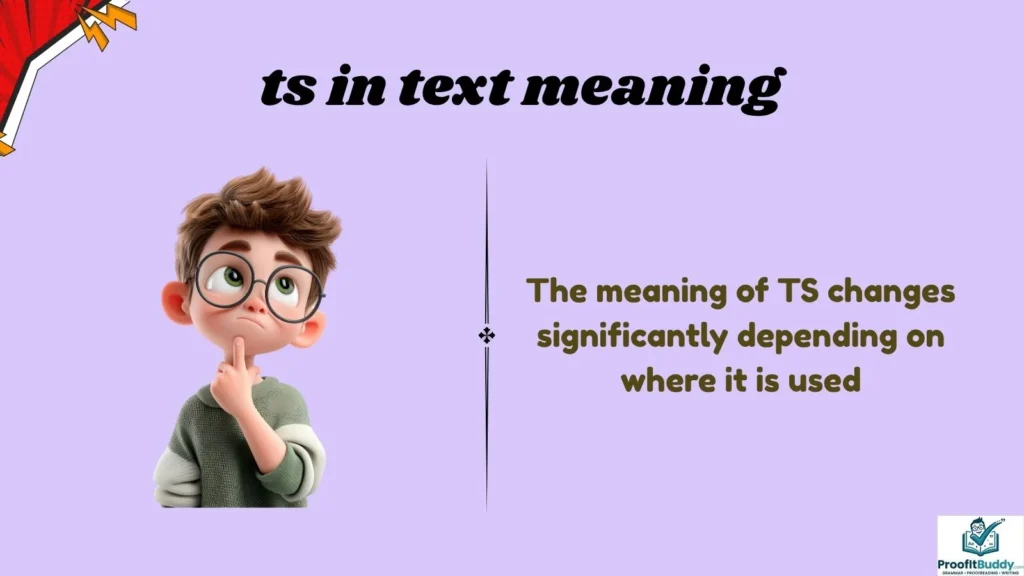 Background of TS Usage