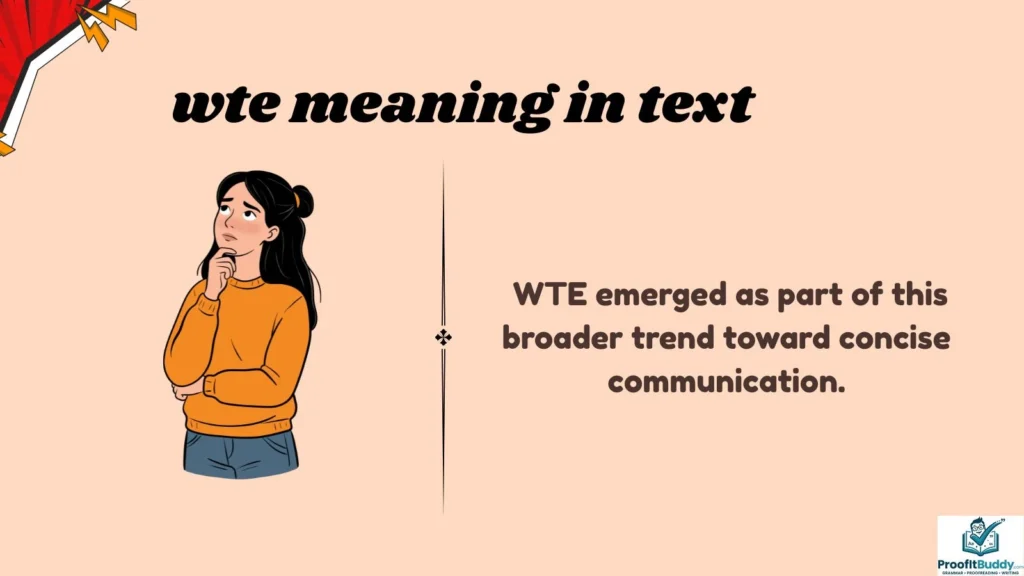 Background of WTE