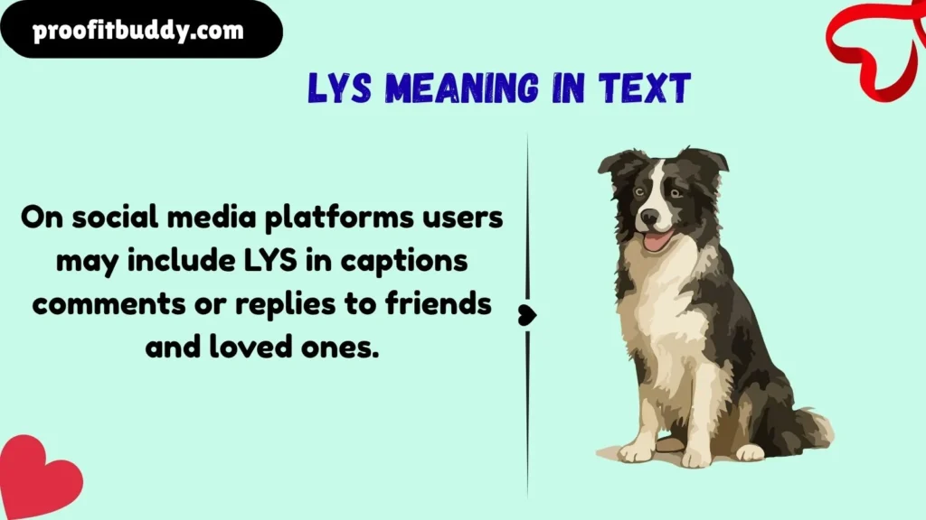 LYS Meaning in Chat, WhatsApp, Instagram, and TikTok