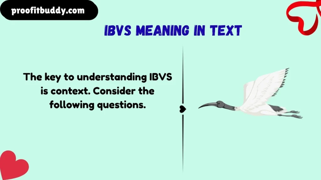 Meaning & Definition of IBVS