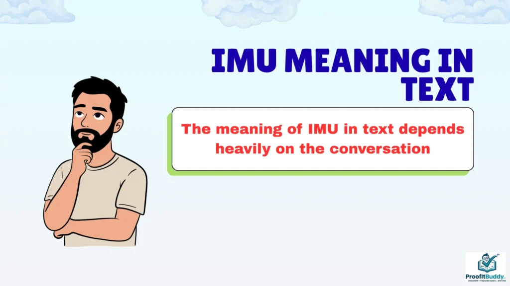 Meaning & Definition of IMU