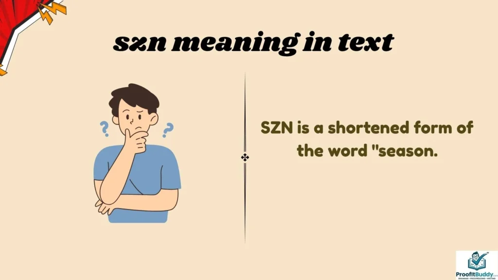 Meaning & Definition of SZN