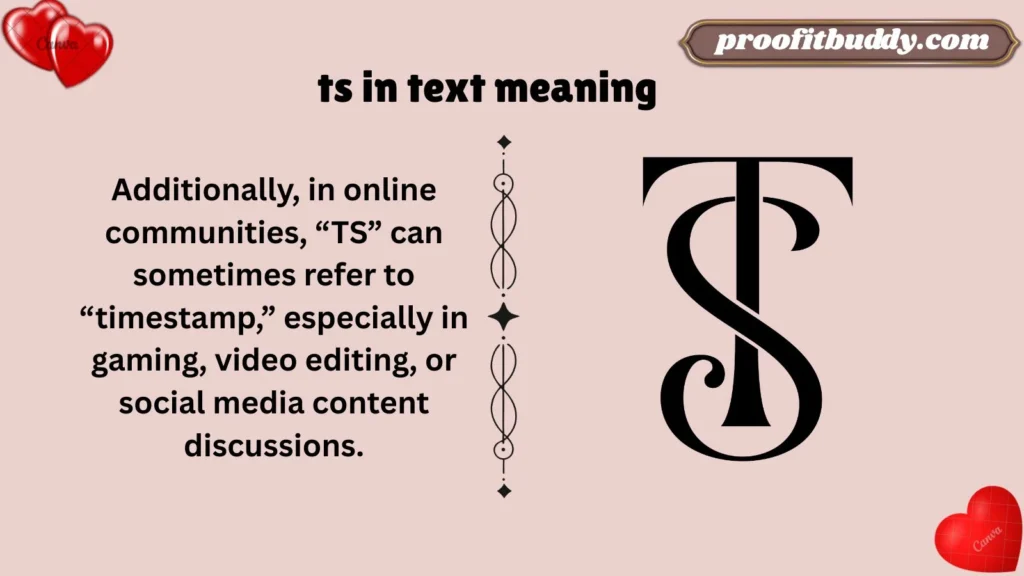 Meaning & Definition of TS in Text