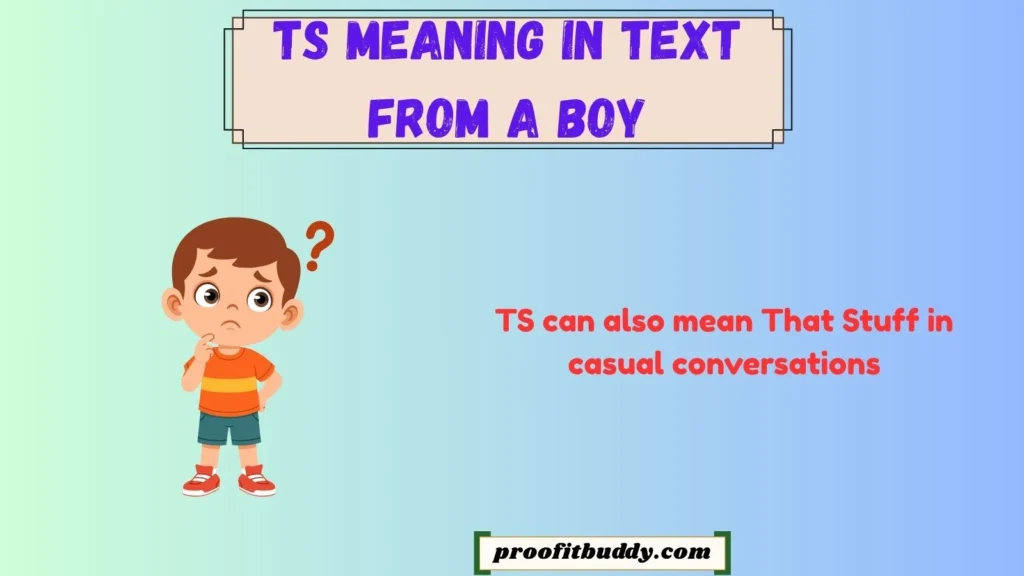 TS Meaning in Text Instagram
