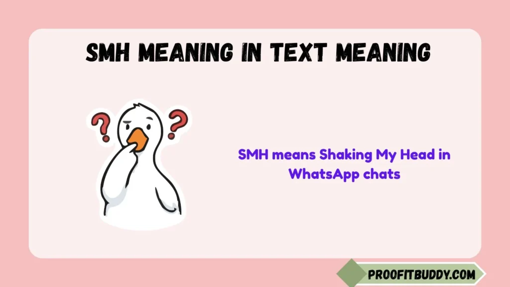 What is SMH in WhatsApp Chat