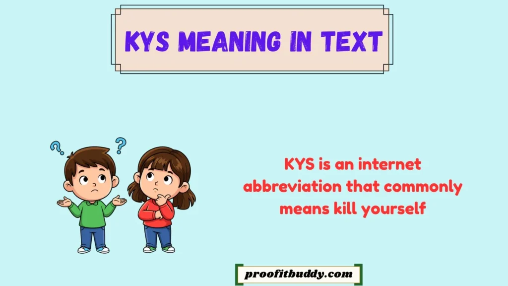 Definition & Meaning of KYS In English