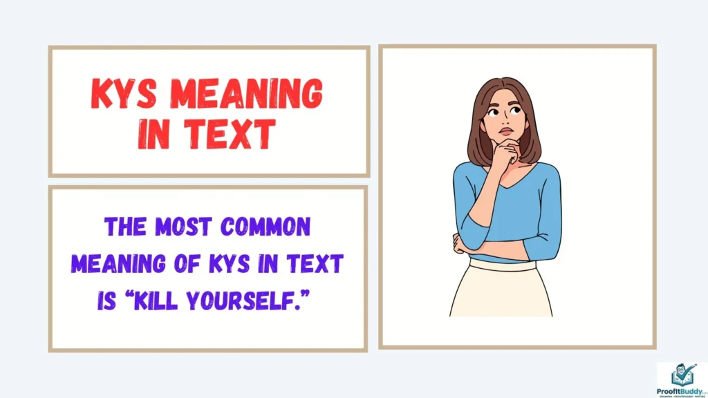 Meaning & Definition of KYS