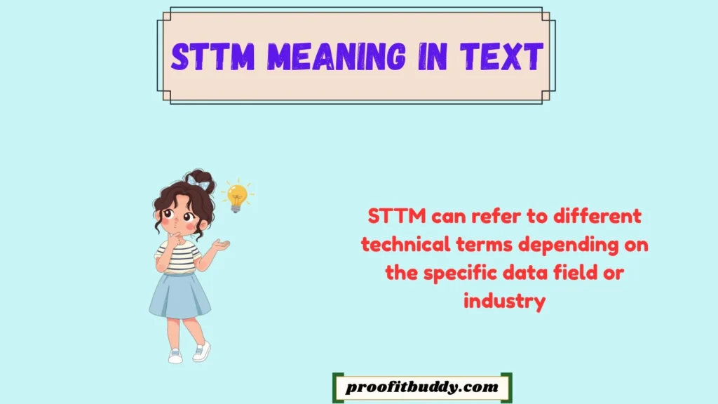 STTM Meaning in Data