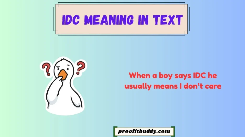 What Does IDC Mean From a Boy?
