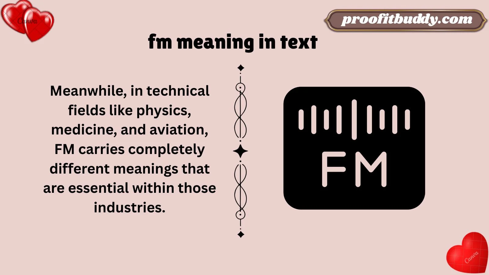 fm meaning in text