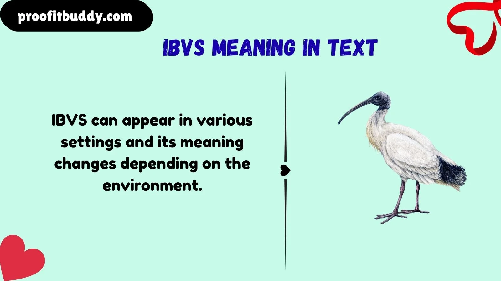 ibvs meaning in text