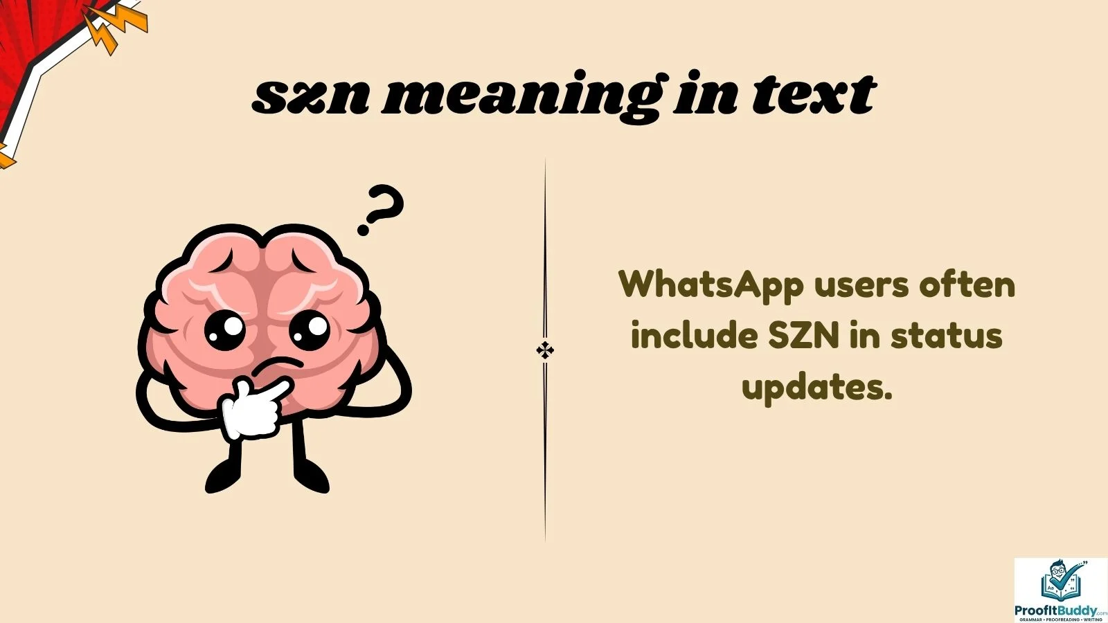 szn-meaning-in-text