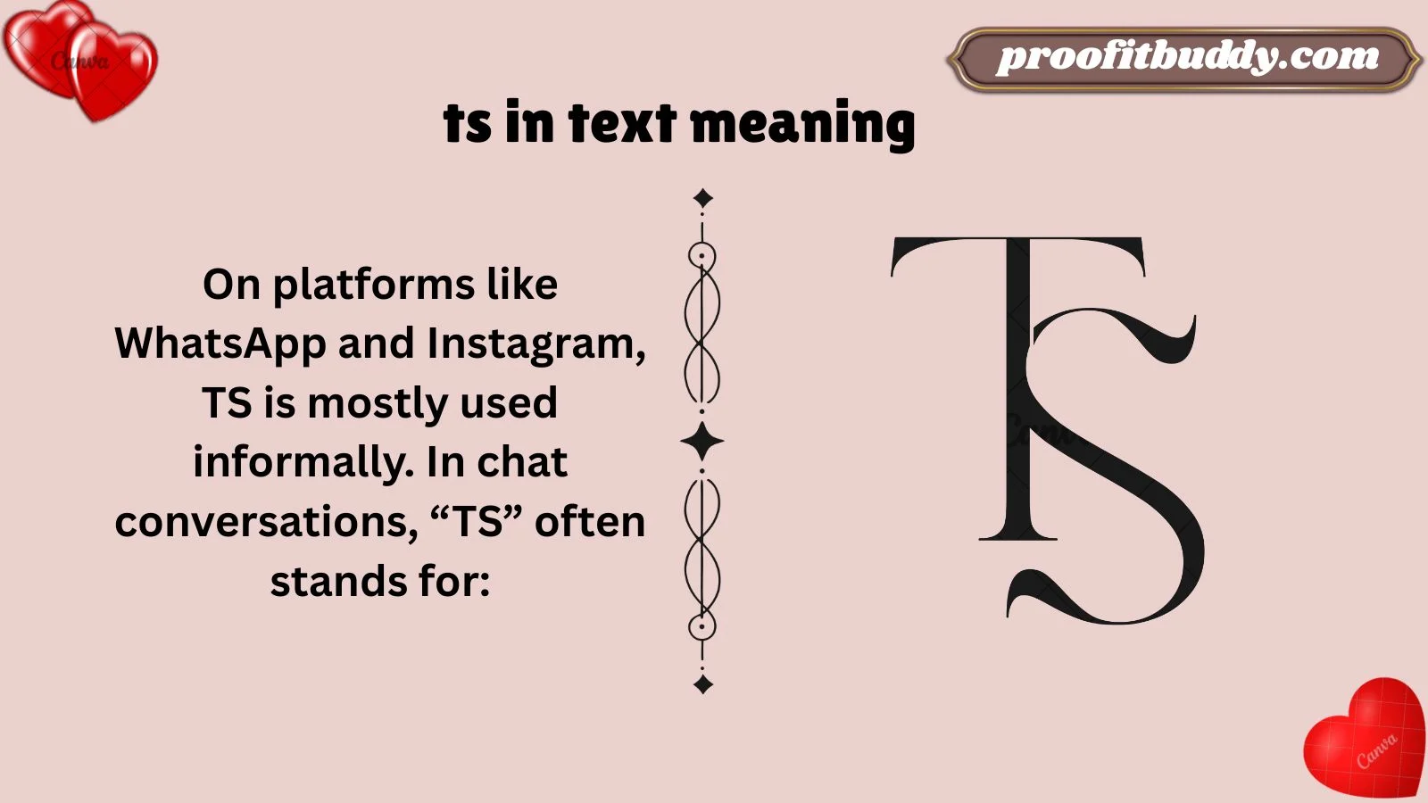 ts in text meaning