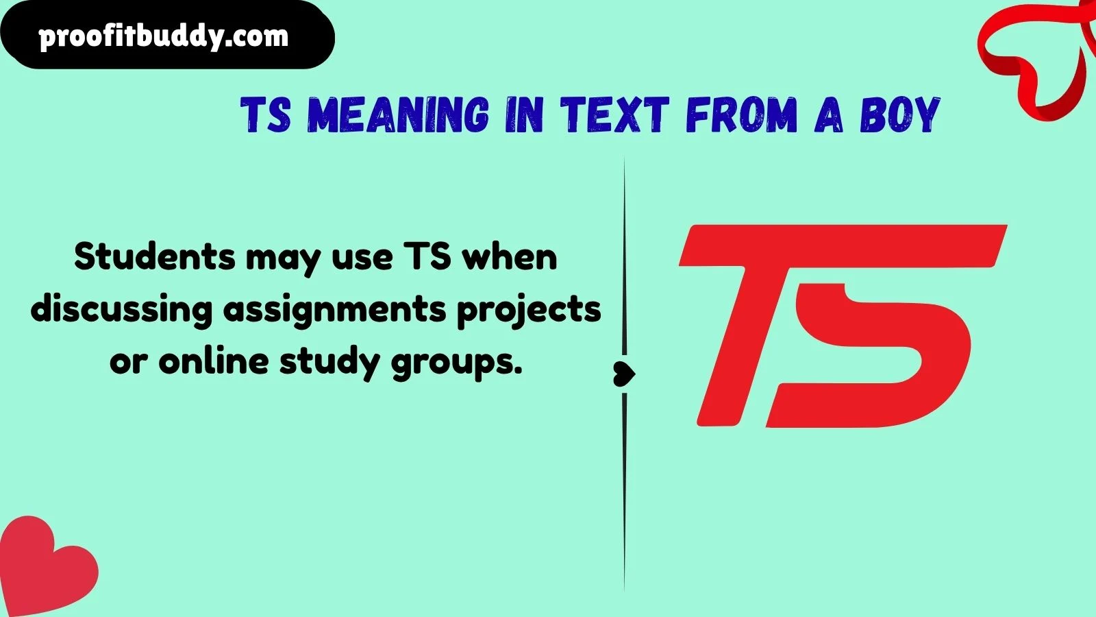 ts meaning in text from a boy